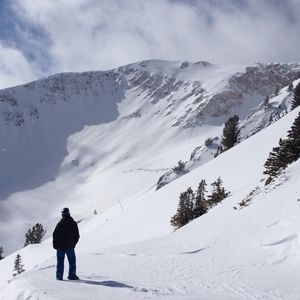 Meet your Posher, Thomas